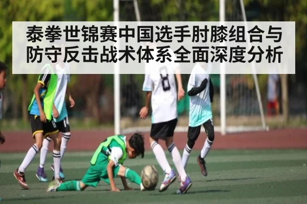 泰拳世锦赛中国选手肘膝组合与防守反击战术体系全面深度分析